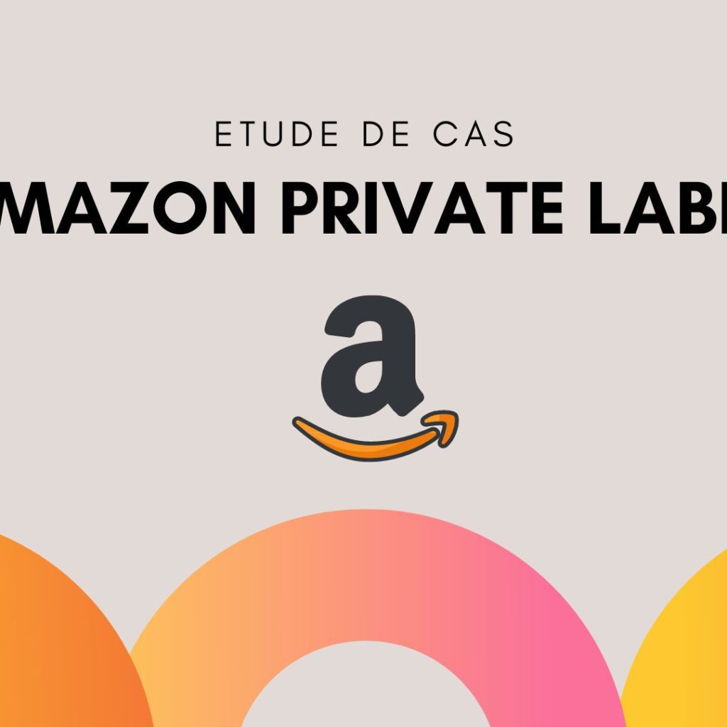 Comment démarrer une entreprise prospère sur Amazon (étude de cas)